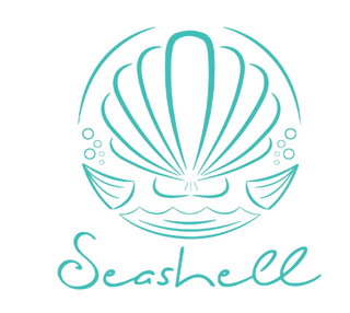Seashell Egypt