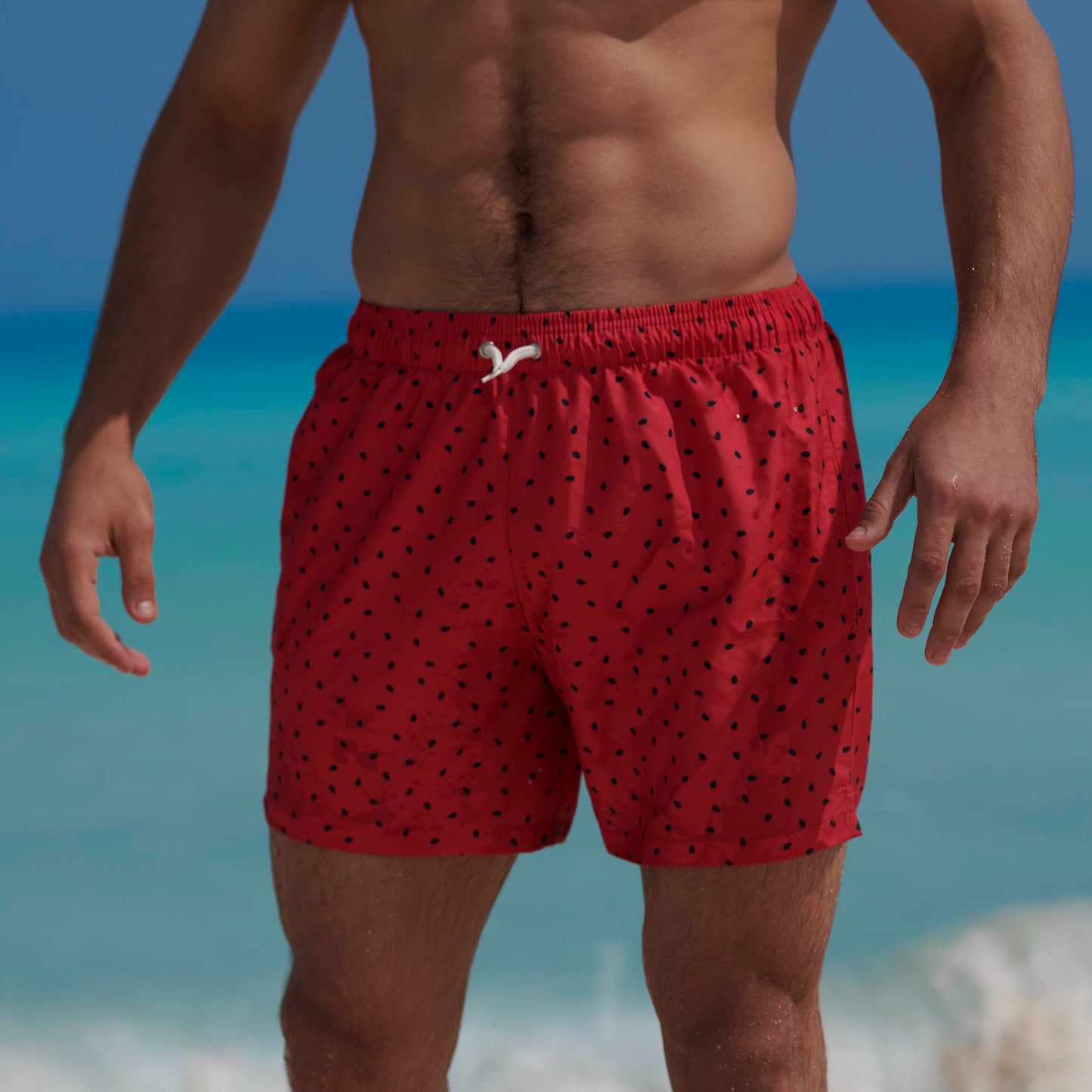 Seed Swimshorts