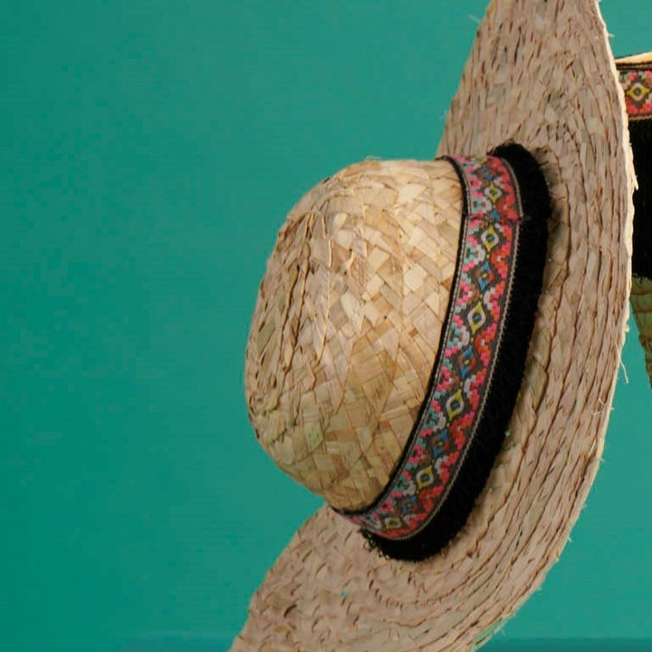 Sallow Gypsy Hat